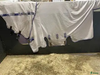 Täcken hästutrustning Flugtäcke Amigo strl 155 - Annons 5