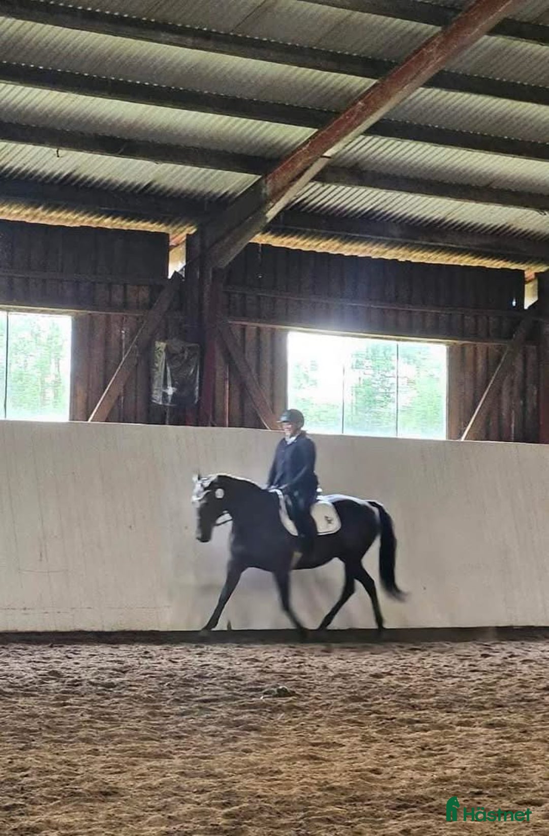  medryttarhäst finnes: Två medryttare sökes i Örkelljunga  i Örkelljunga - Annons 6