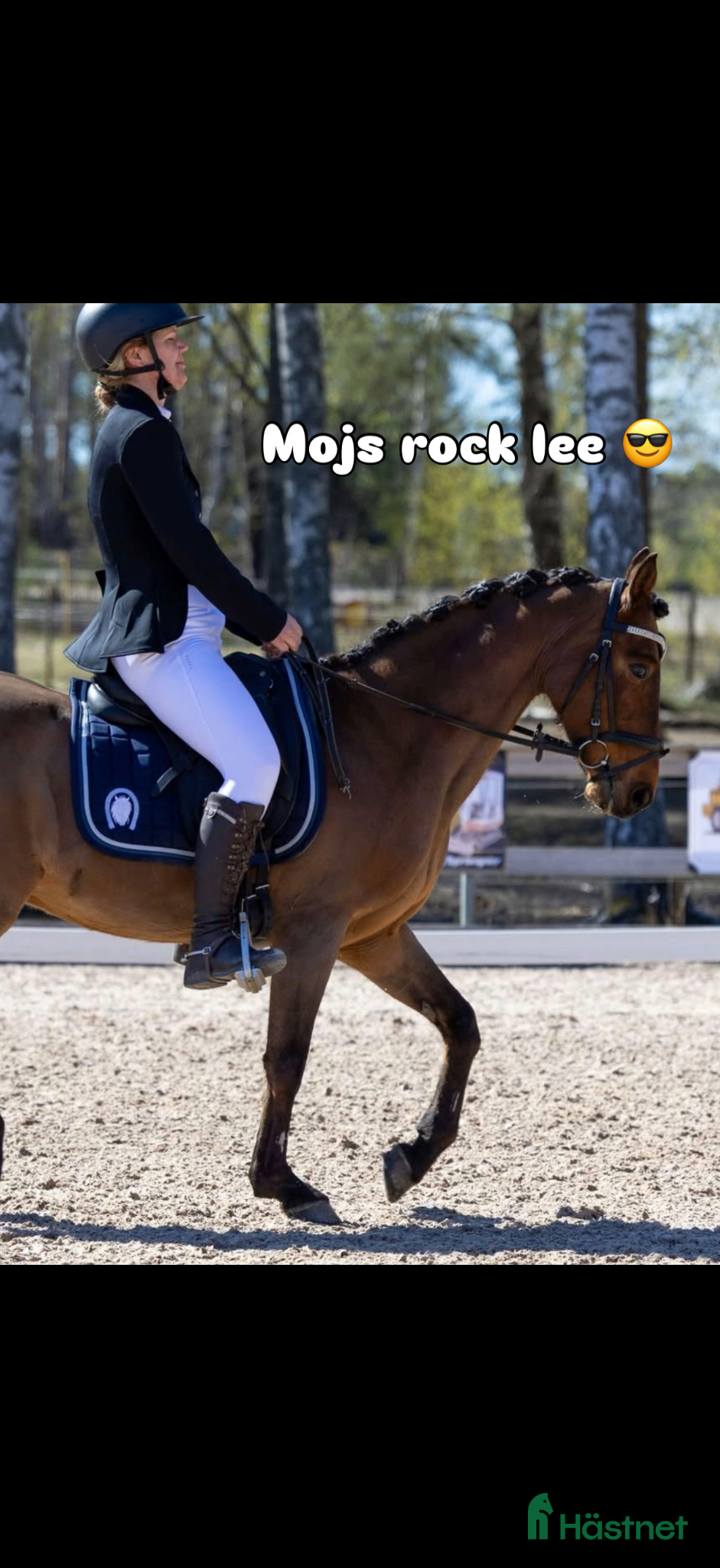  hästar  Rocky – C-ponny med hjärtat på rätt ställe - Annons 2
