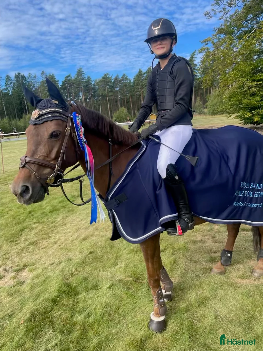 Hoppning hästar till salu: Fin hopp-ponny med unik stam - Annons 1