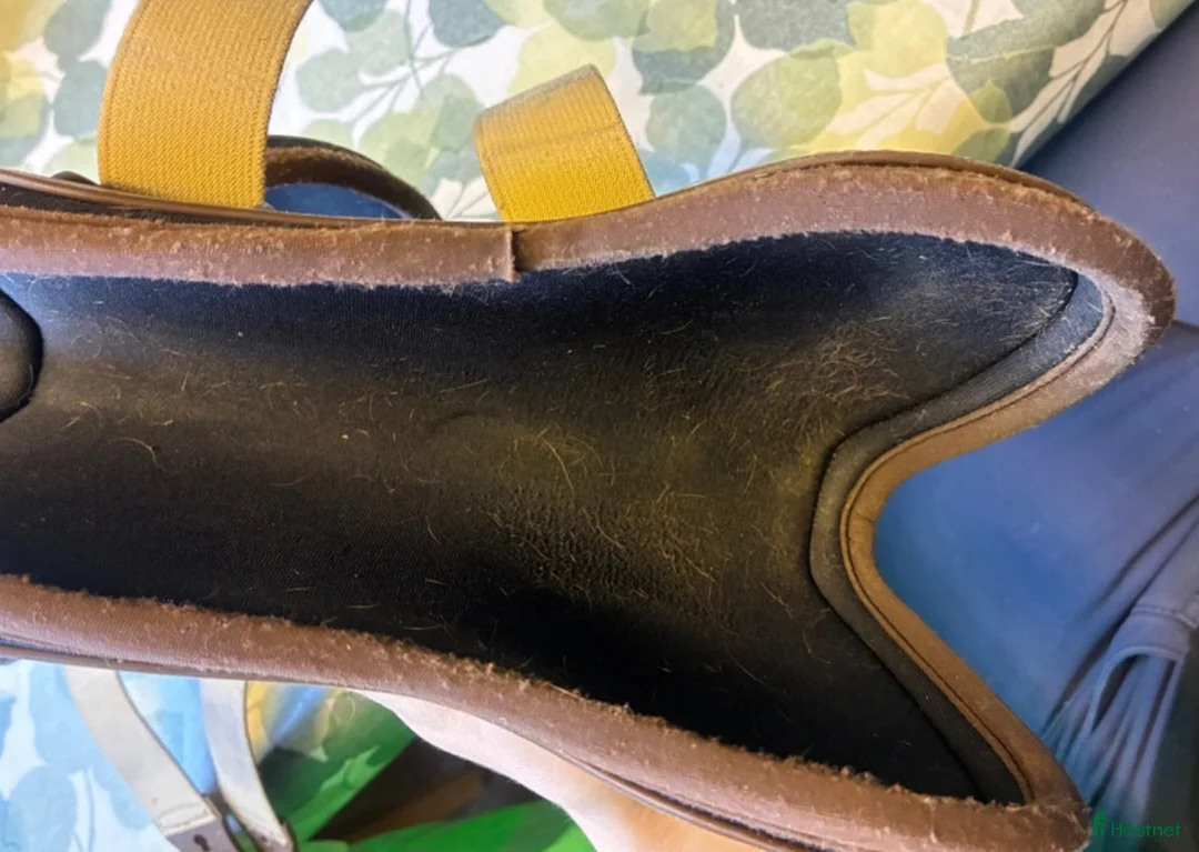 Benskydd hästutrustning till salu: Veredus olympus strl L - Annons 6