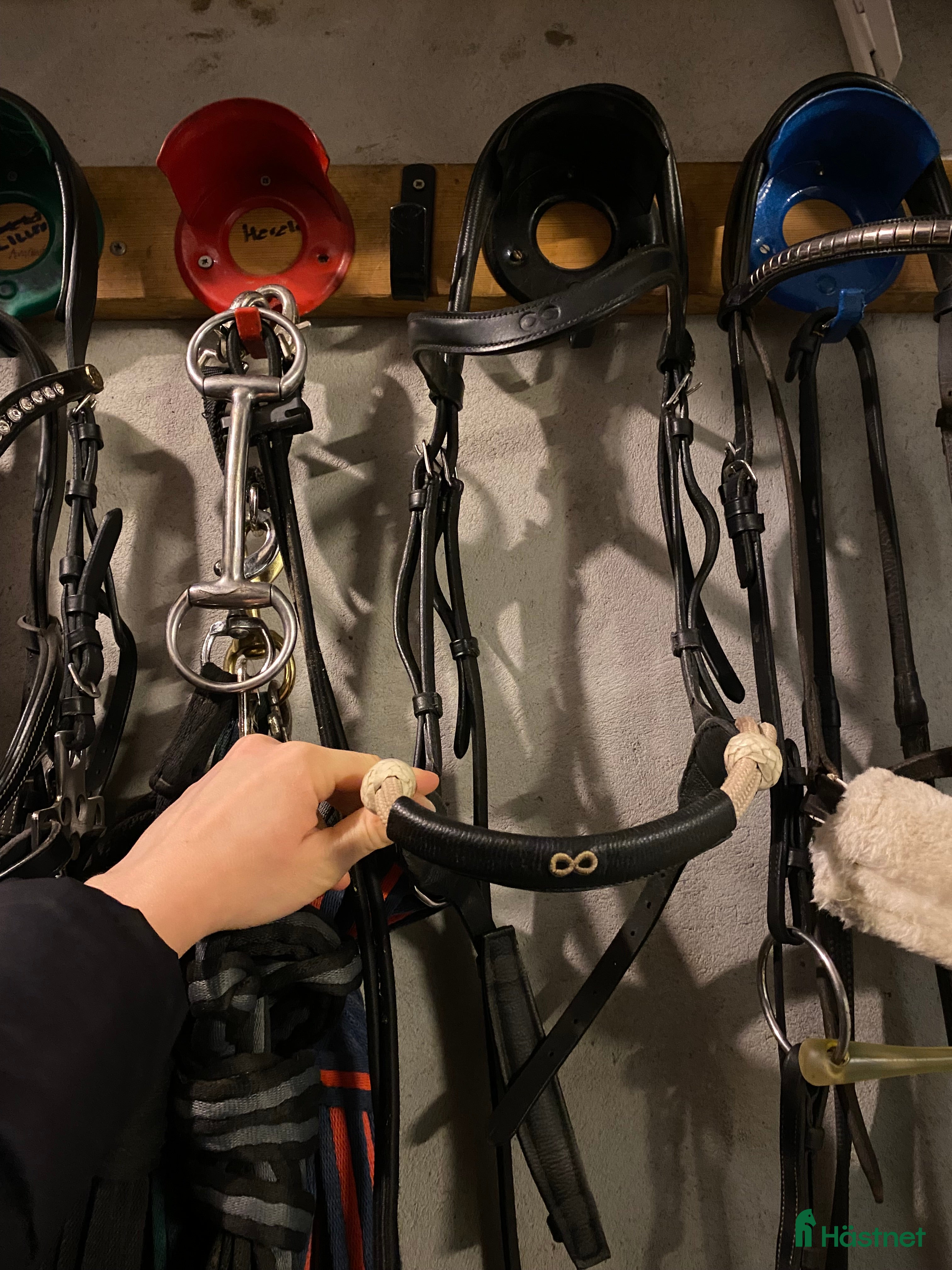 Träns hästutrustning till salu: Dyon Bettlöst i Lund - Annons 2