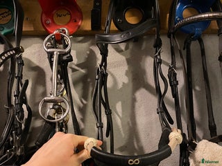 Träns hästutrustning till salu: Dyon Bettlöst i Lund - Annons 2