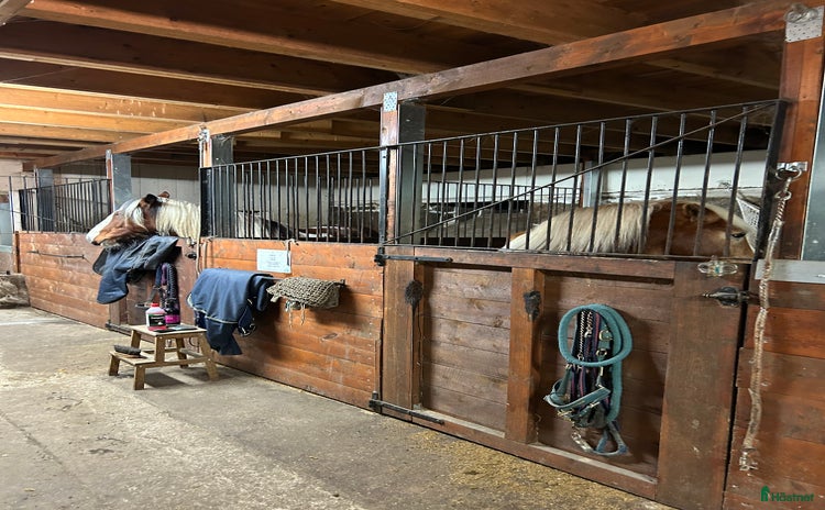  stallplats i Älmhult - Annons 9