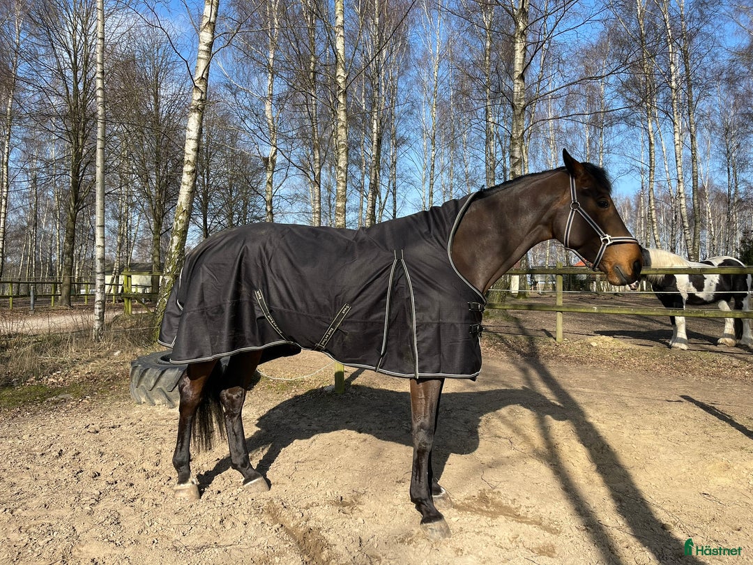 Täcken hästutrustning till salu: BoT Brianna utetäcke 50g i Staffanstorp - Annons 4