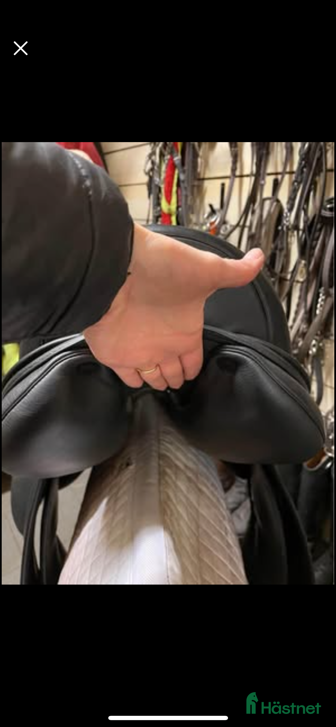 Sadlar hästutrustning till salu: Töltsaga supreme 17 tum  i Gävle - Annons 3