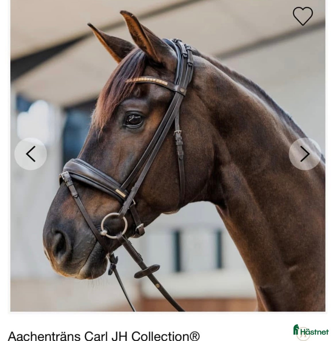 Träns hästutrustning till salu: Carl jh collection  - Annons 11