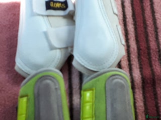 Benskydd hästutrustning till salu: Shetland-size benskydd = 20kr totalt i Tomelilla - Annons 3