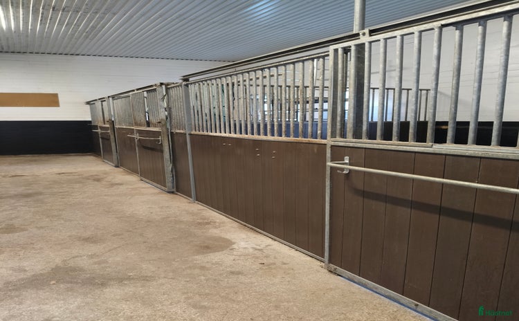  stallplats i Almunge - Annons 5