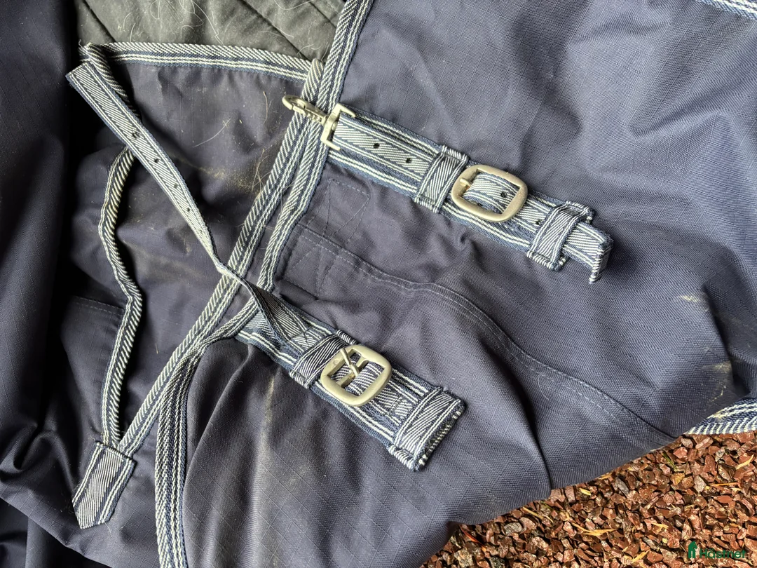 Täcken hästutrustning till salu: Vintertäcke oklart märke  i Sollerön - Annons 2