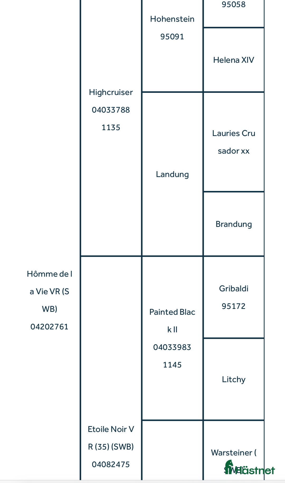 Dressyr hästar till salu: 5-årig dressyr valack i Kolmården - Annons 3
