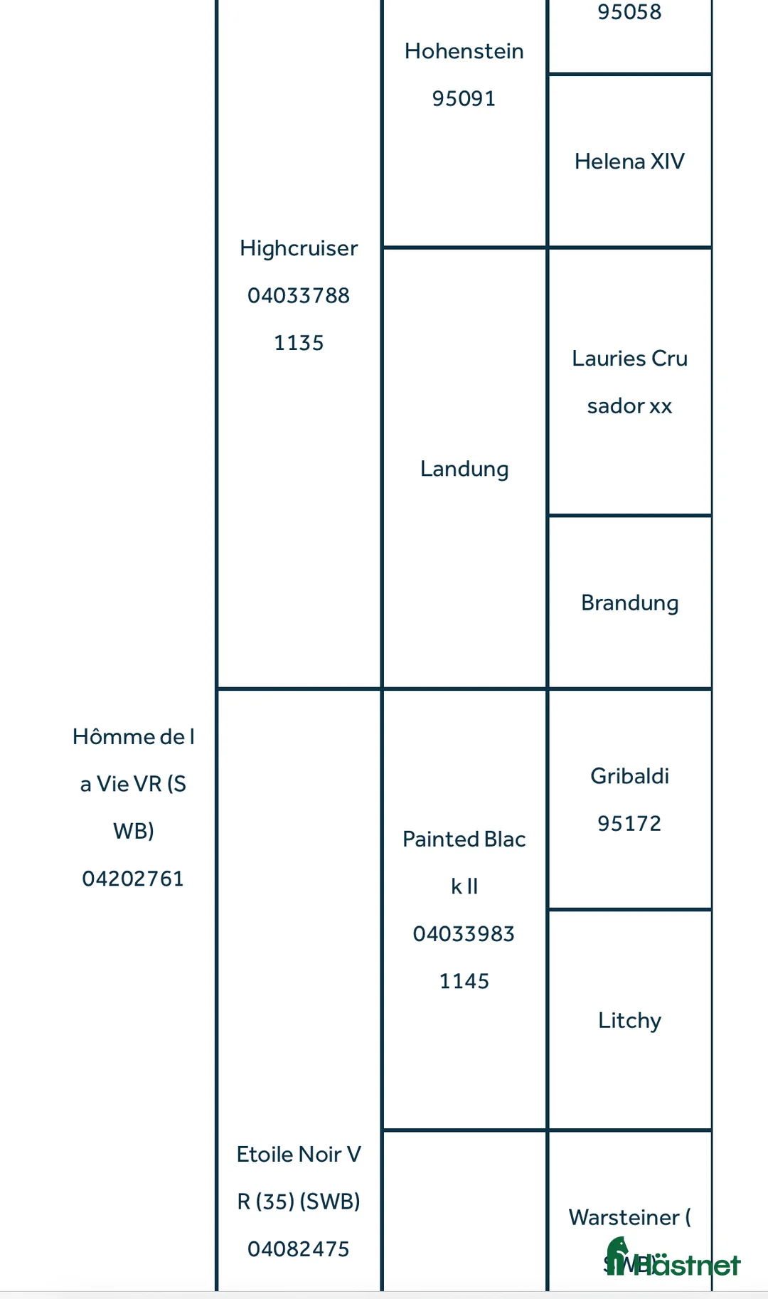 Dressyr hästar till salu: 5-årig dressyr valack i Kolmården - Annons 3