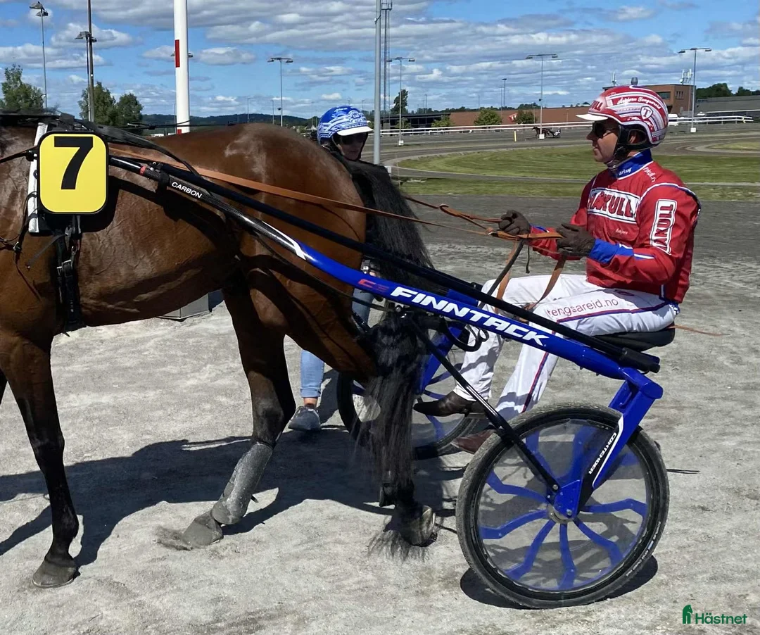Travsulkys trav till salu: Finn-Tack Contender C6 sulky, med hjul selges i Nordre Toten - Annons 1