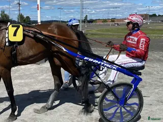 Travsulkys trav till salu: Finn-Tack Contender C6 sulky, med hjul selges i Nordre Toten - Annons 1