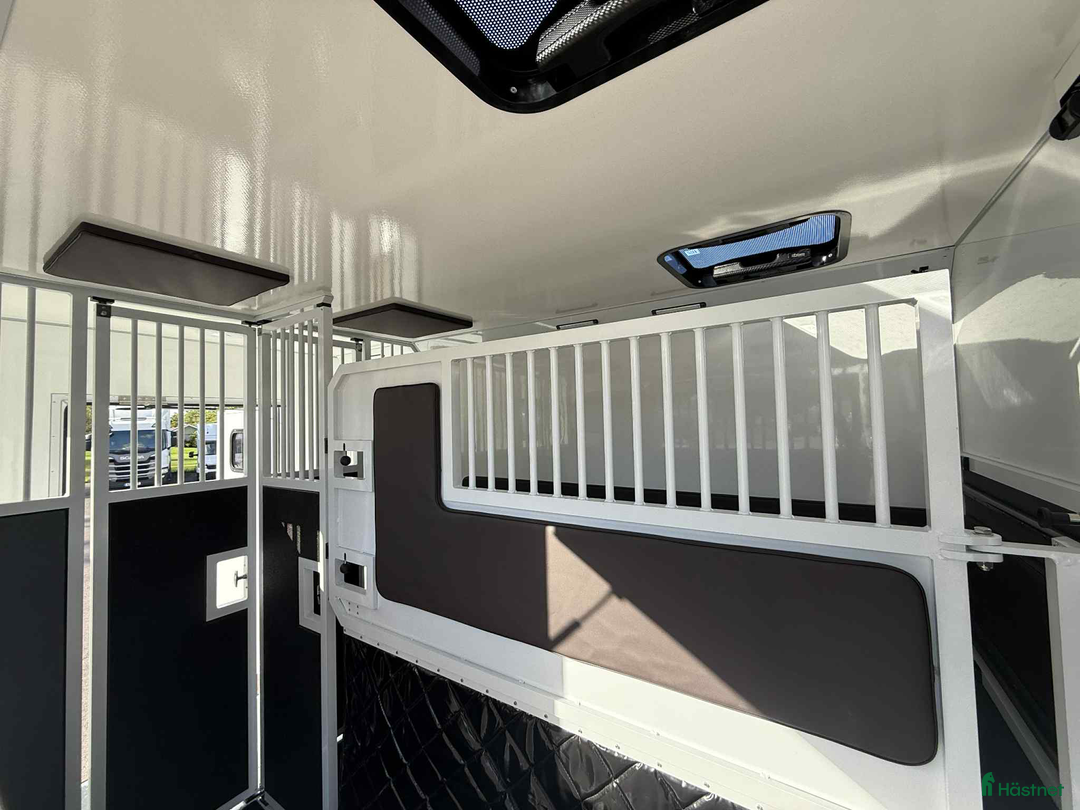 Hästlastbilar  fordon & transport till salu: KAMPANJ NORSIC HORSE 5 STUTERI *HÖG LASTVIKT* i Köping - Annons 7