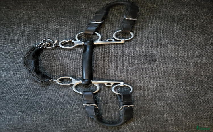 Bett hästutrustning till salu i Gamleby - Annons 10