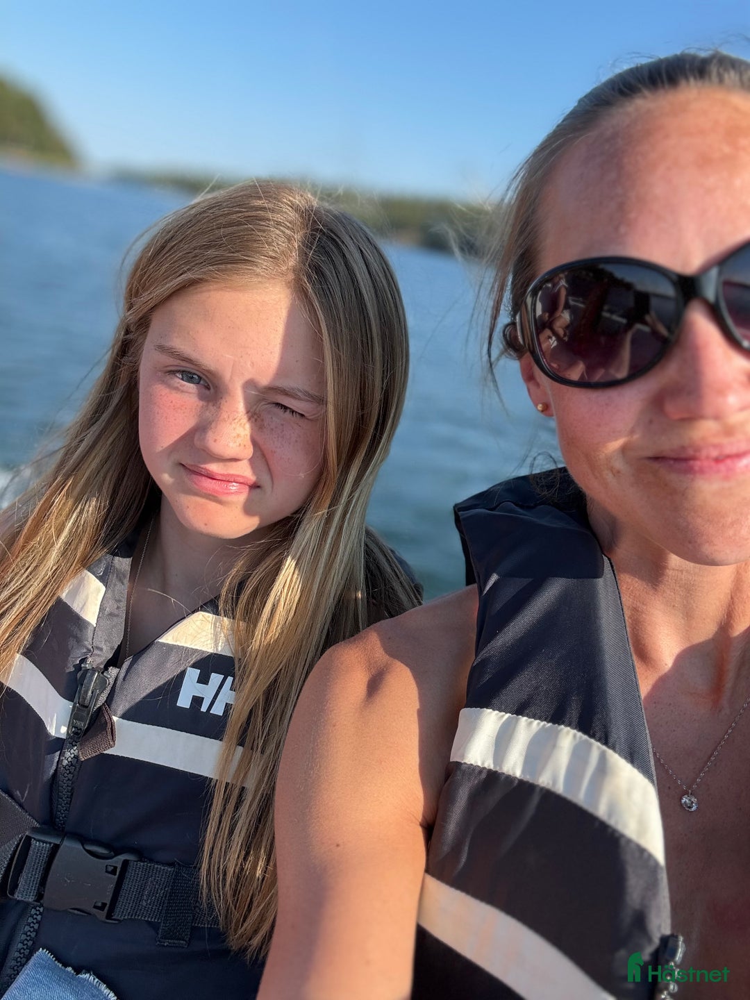 Allround hästar sökes: Häst sökes  i Norra Sorunda - Annons 1