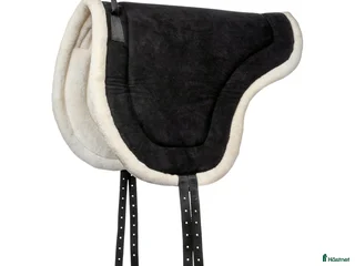 Schabrak & Vojlockar hästutrustning till salu: SÖKER BARBACKAPAD STORLEK COB! i Gräddö - Annons 3