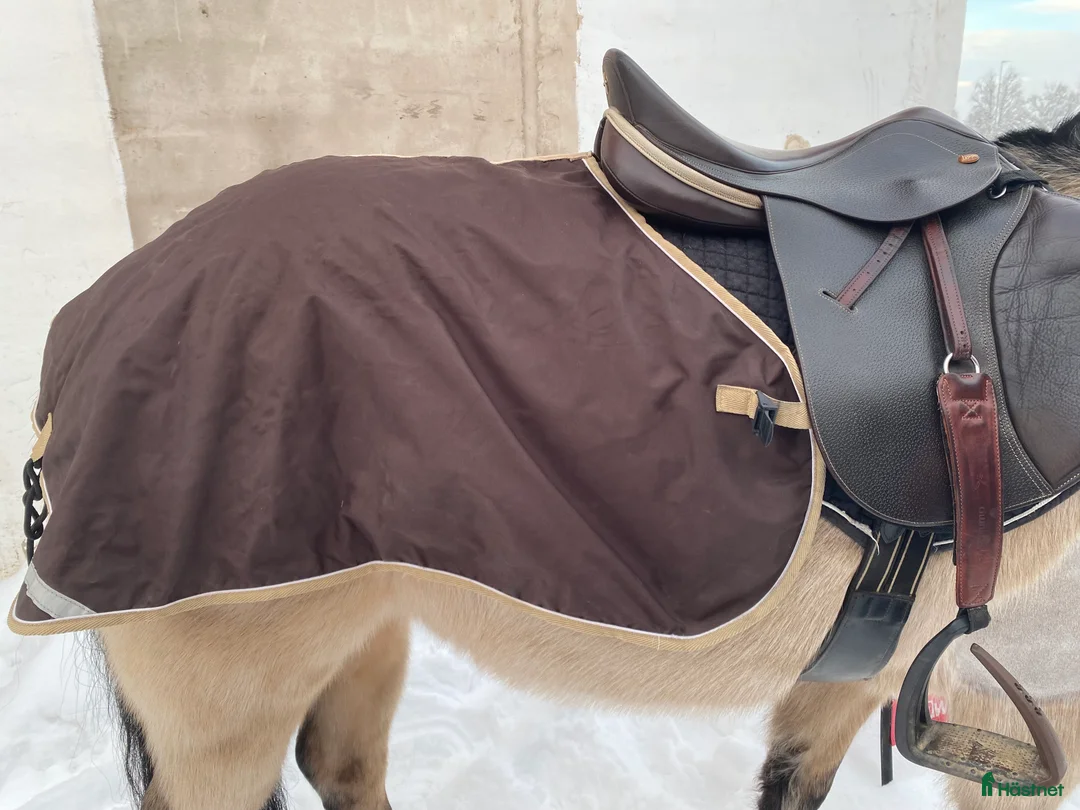 Sadeltillbehör hästutrustning till salu: Hoppschabrak, hoppgjord och ländtäcke  i Bottnaryd - Annons 5