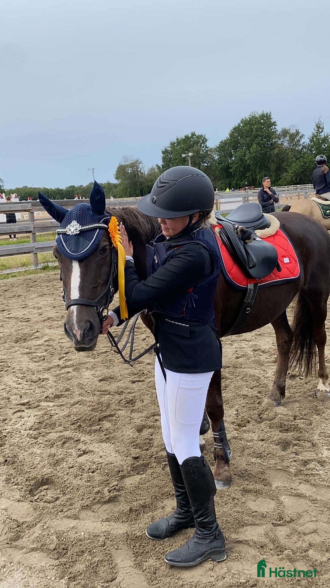 Schabrak & Vojlockar hästutrustning till salu: Fina Equestrian Stockholm schabrack i Härryda - Annons 1