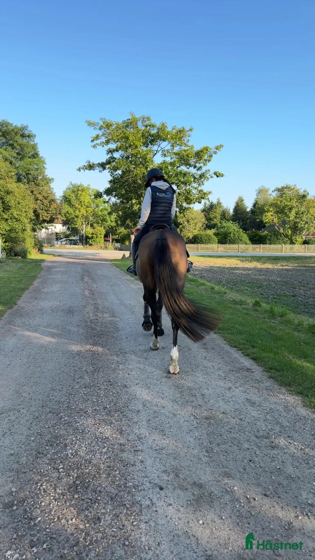  hästservice finnes: Samarbete 😍 i Trelleborg - Annons 1