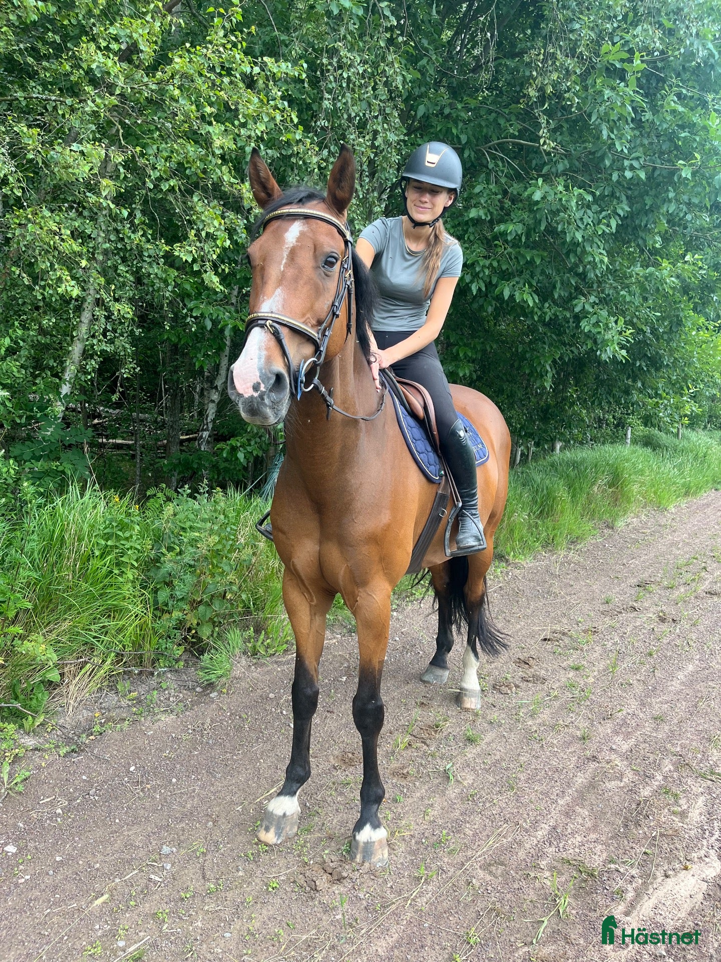  hästar Trevlig Hobbyhäst säljes  - Annons 2