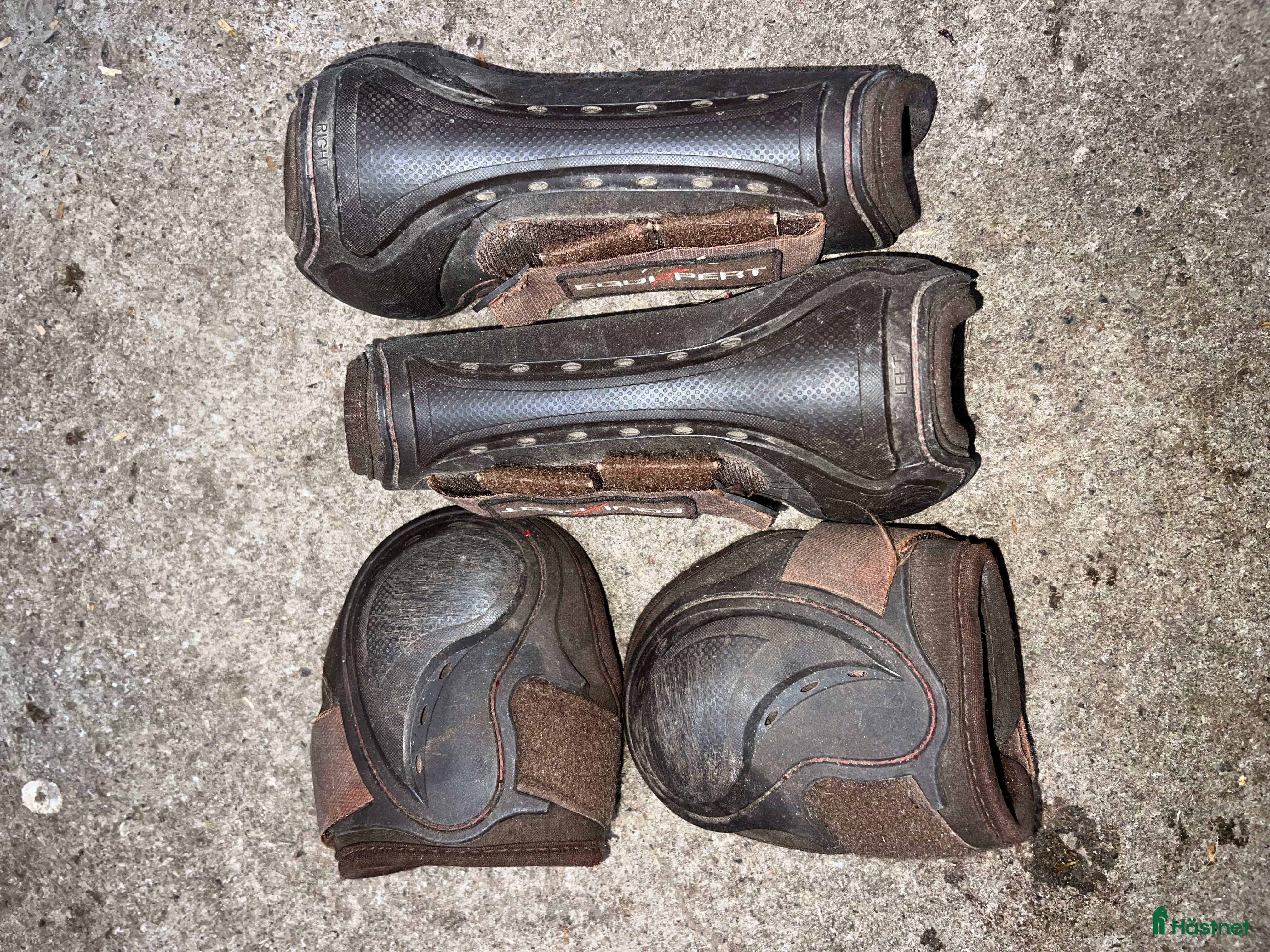 Benskydd hästutrustning Benskydd/Boots - Annons 6