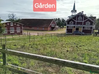 stallplats Fullservice för avelsston & konvalescenter - Annons 4