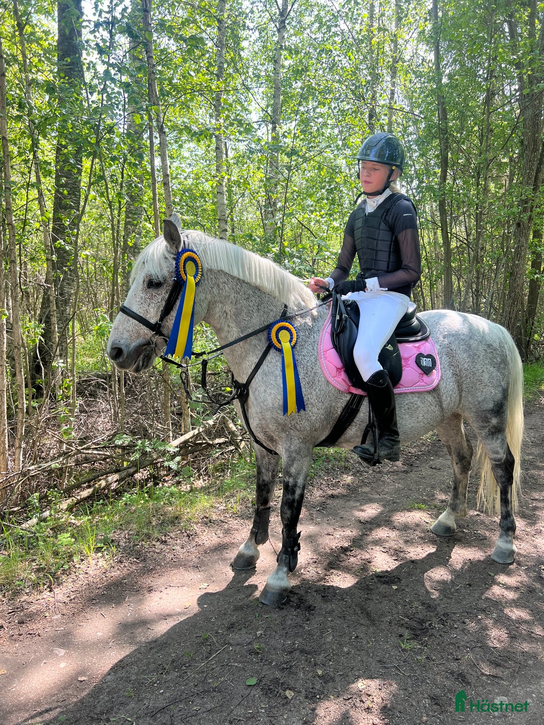 Hoppning hästar till salu: 🌟 Rosettplockande läromästare – Maxad C-ponny  i Huddinge - Annons 2