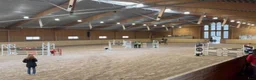 Hoppning hästar till salu: Modigt framtidshopp e:Cooper vd Heffinck-Casall - Annons 5