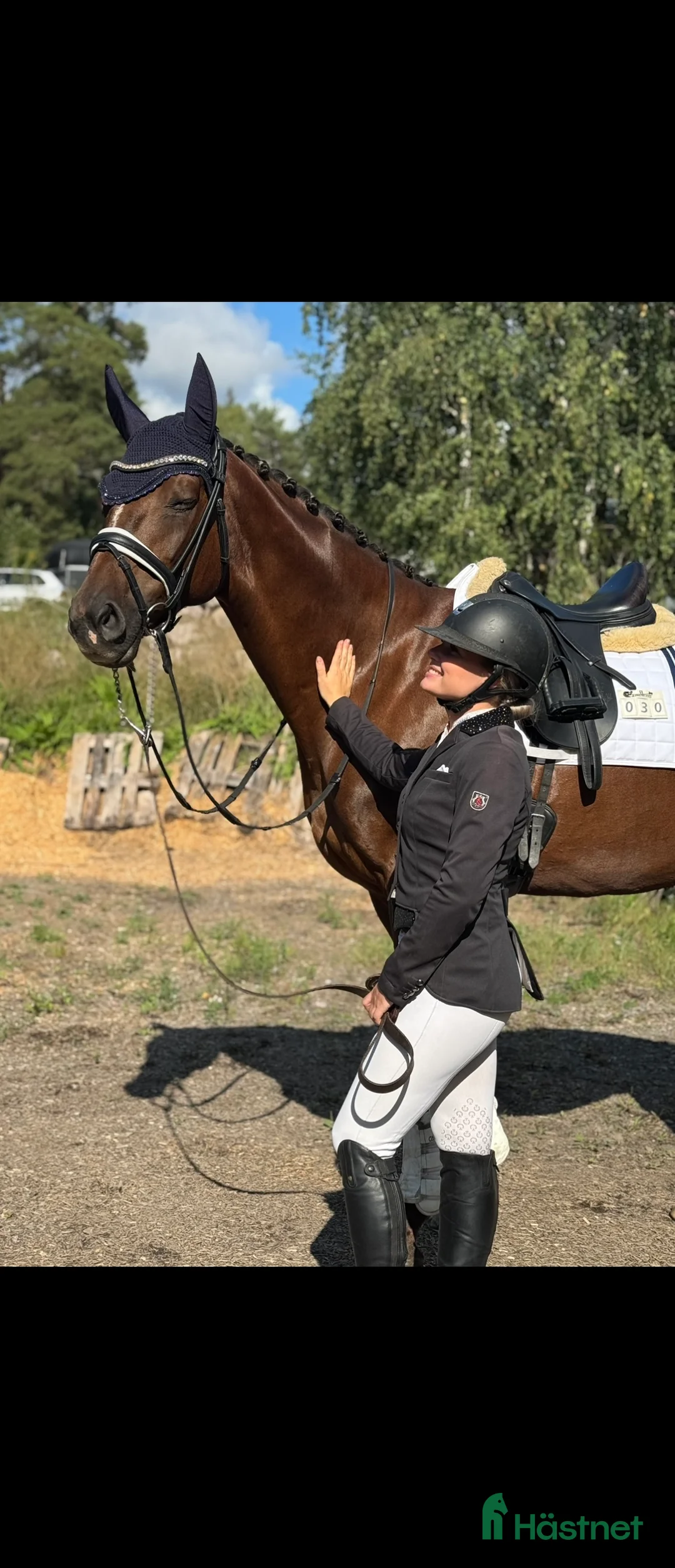 Dressyr hästar till salu: Fantastiskt sto med utstrålning i Södertälje - Annons 2