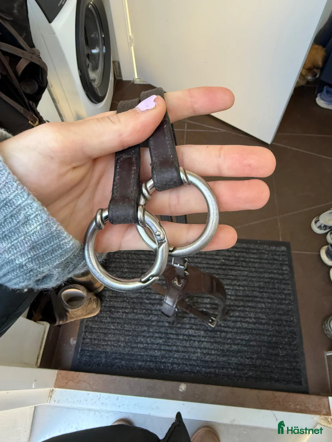 Sadeltillbehör hästutrustning till salu: Prestige martingal - Annons 5