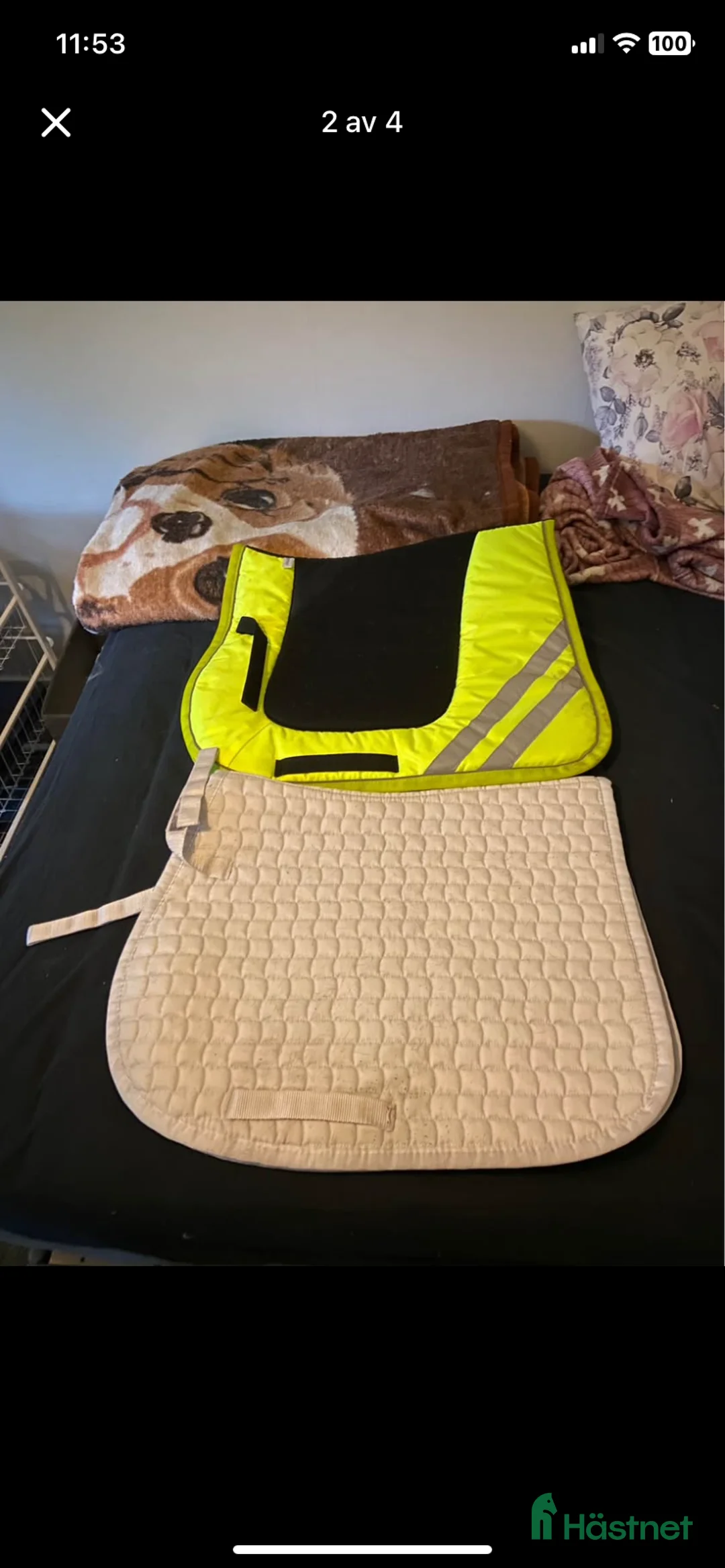 Schabrak & Vojlockar hästutrustning till salu: Schabrak i Eskilstuna - Annons 2