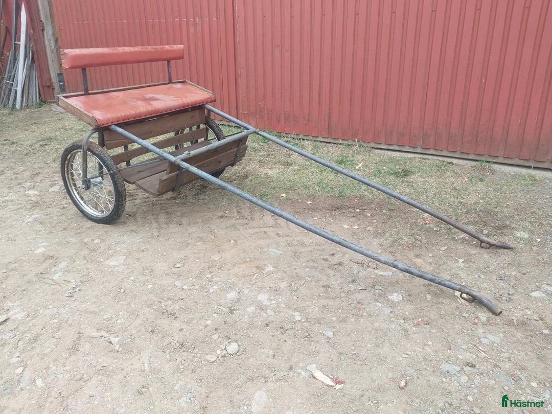 Körsulkys körning till salu: Rockard - Annons 1