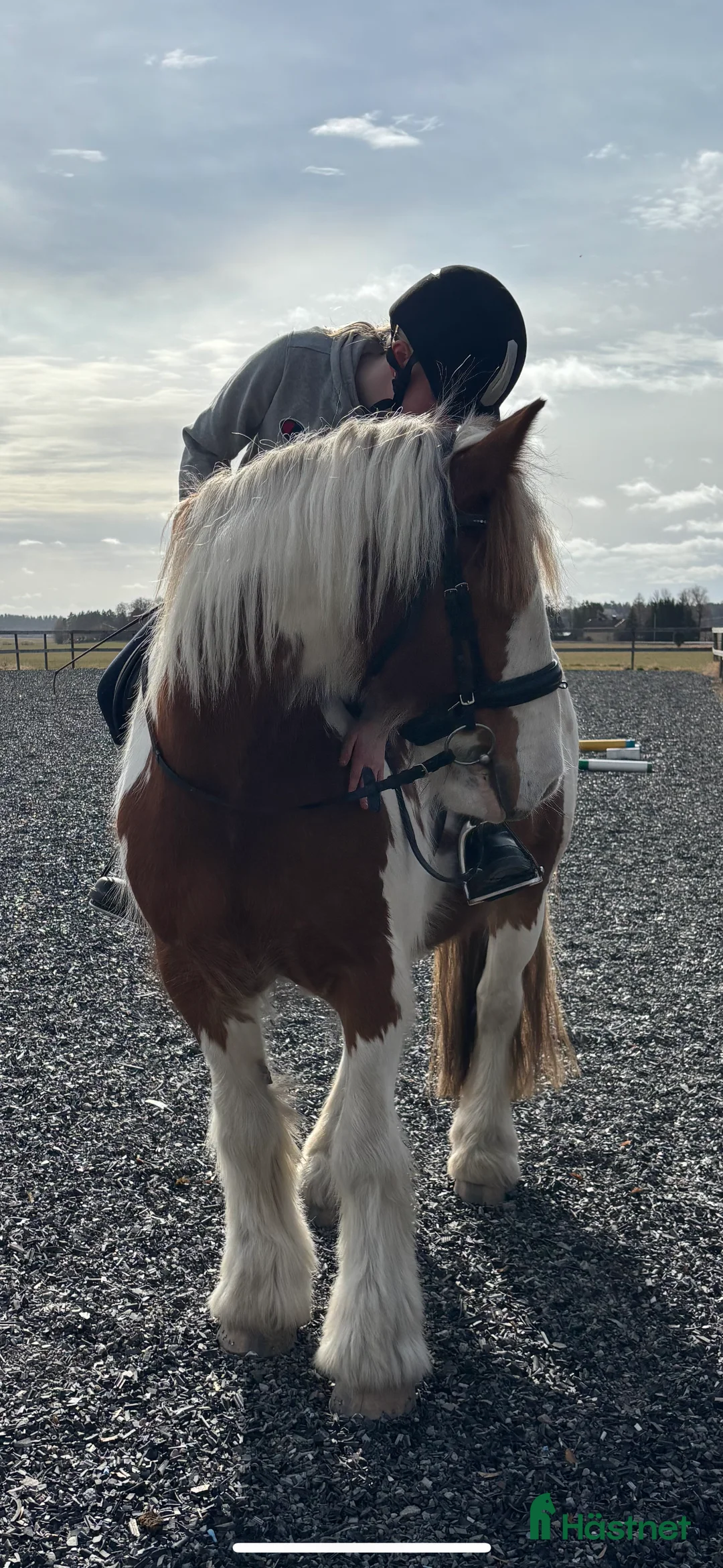  medryttarhäst sökes: Söker medryttarhäst nära Järfälla!! - Annons 1
