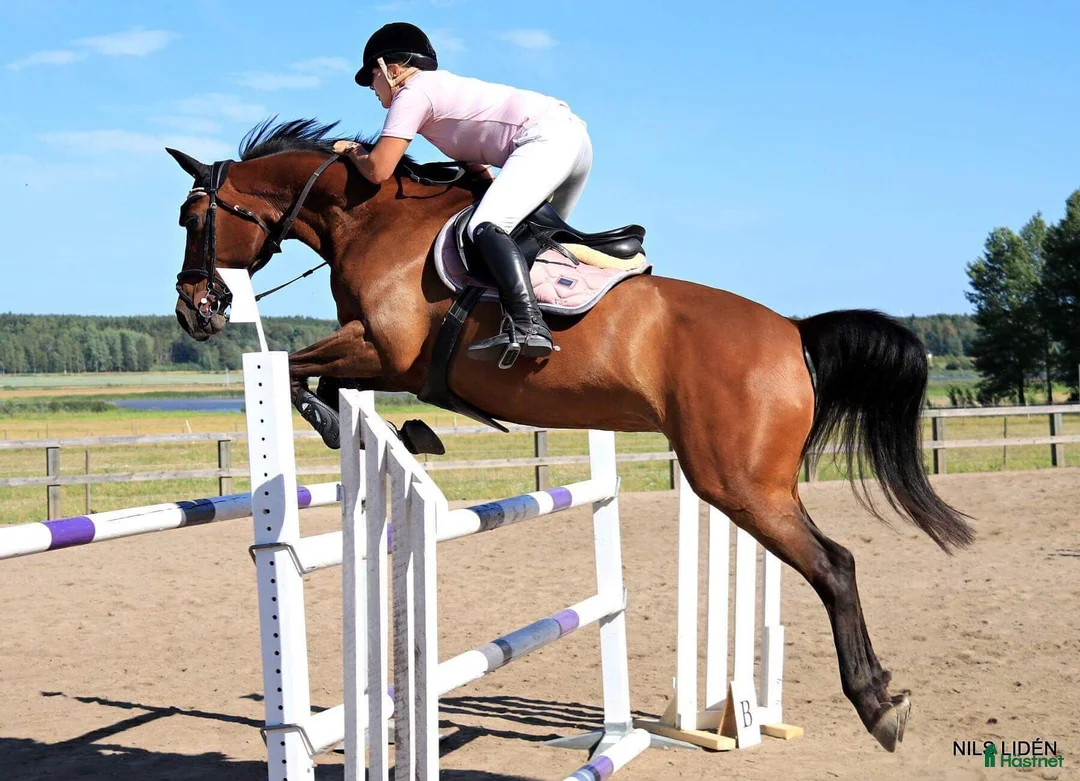 Galleribild {{count}}