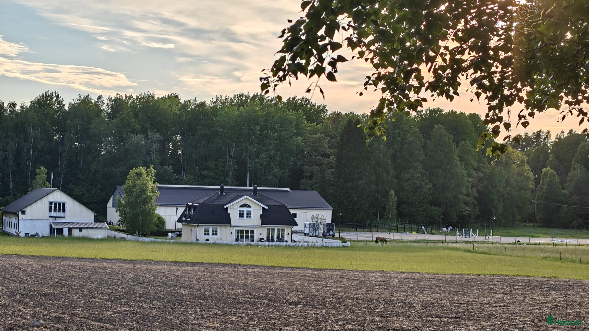  stallplats Stallplats med fullservice - Annons 8