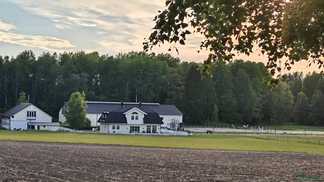  stallplats finnes: Stallplats med fullservice - Annons 1