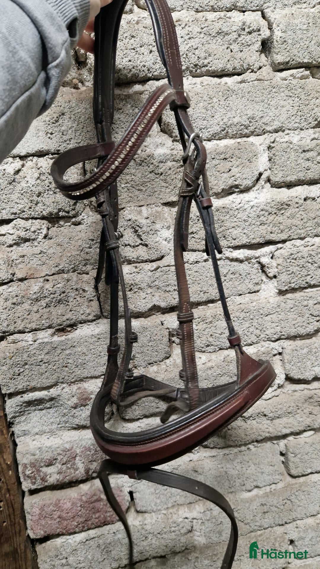 Träns hästutrustning till salu: Olika träns storlek cob i Umeå - Annons 7