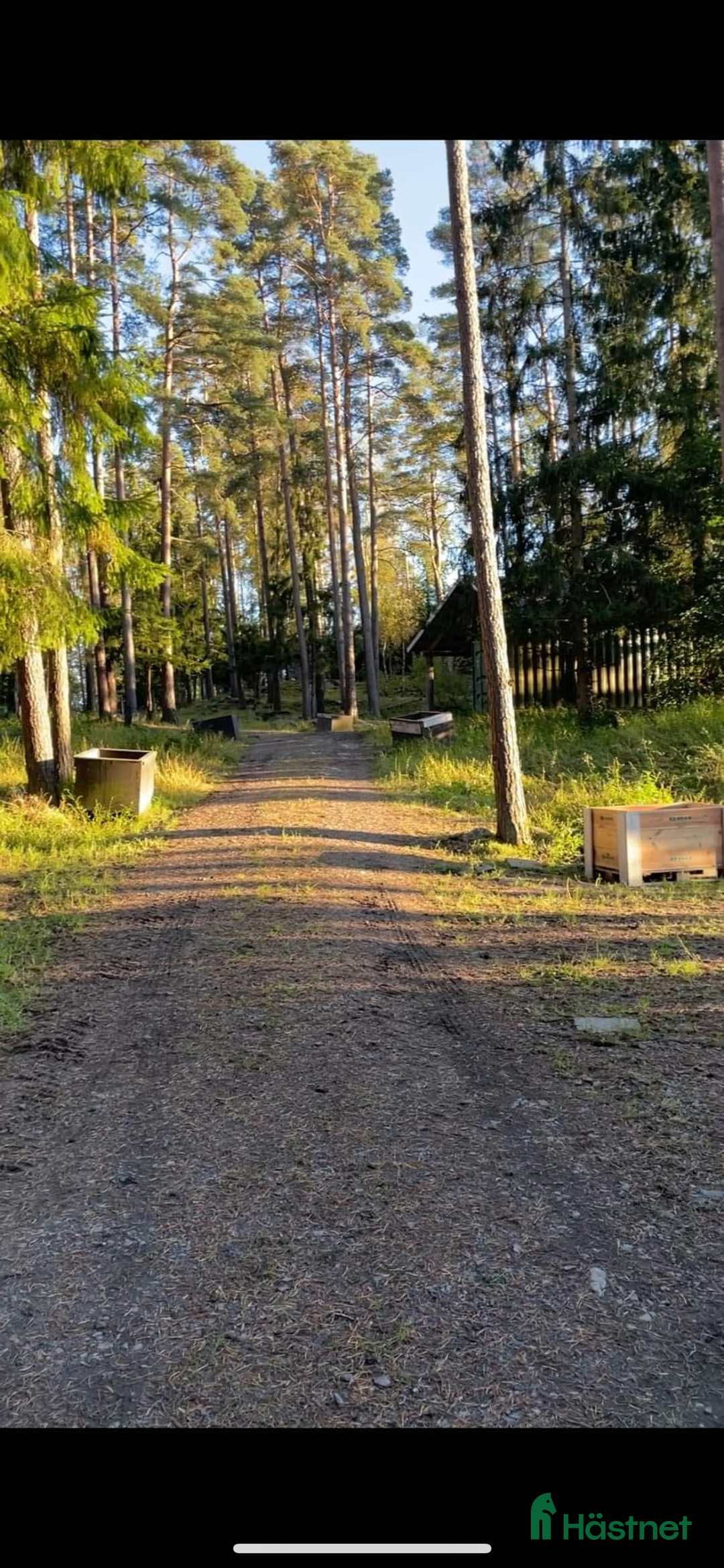  stallplats finnes: Lösdriftsplats för islandshäst i Lindome i Lindome - Annons 3