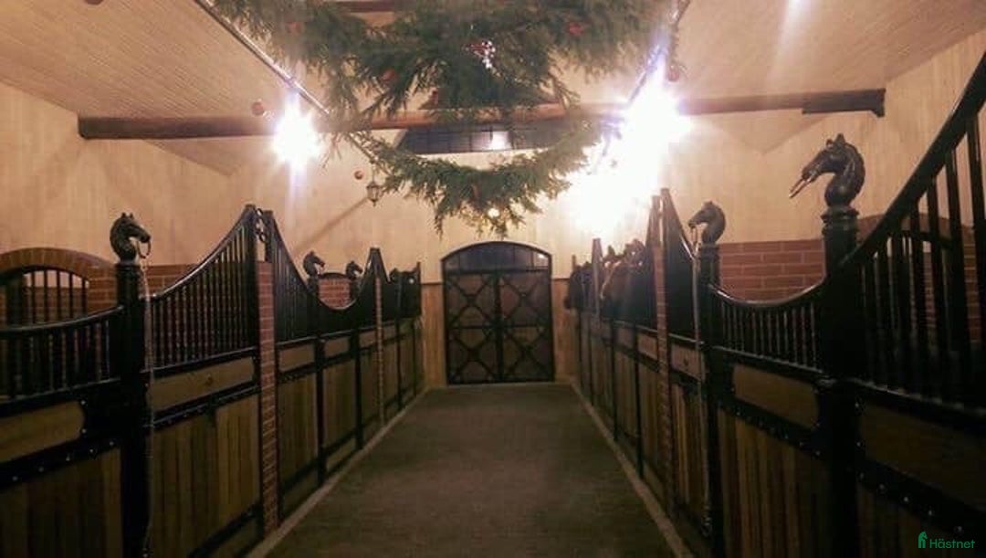  stallplats finnes: Vill du och din häst ha bra träningsmöjligheter? i Linghem - Annons 1