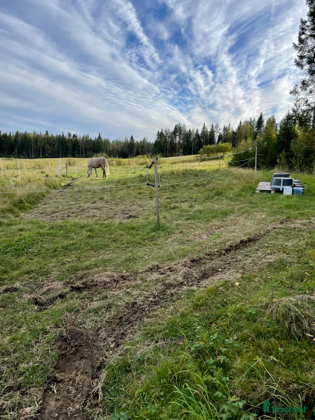  stallplats finnes: Bete, helinackordering möjlig - Annons 2