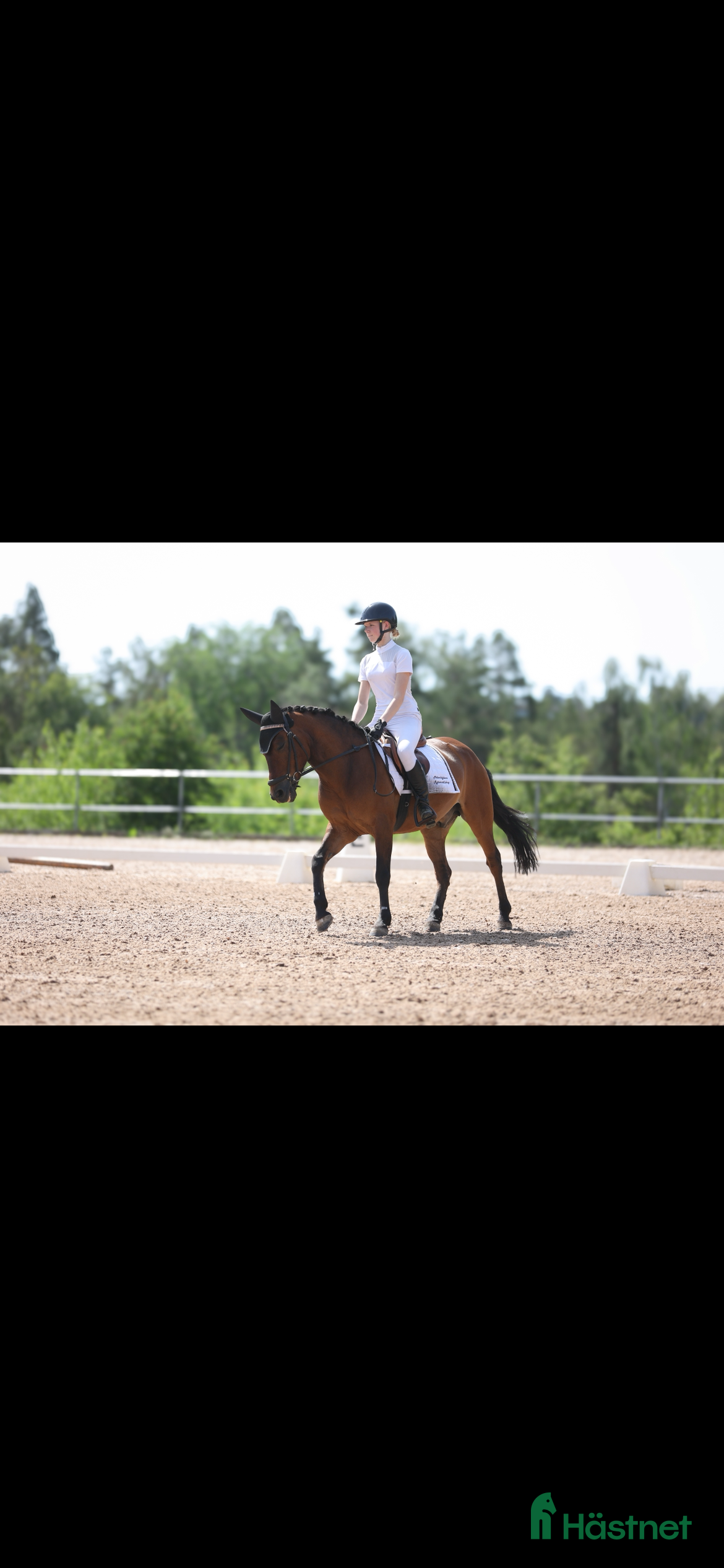  hästar Trevlig C-ponny säljes  i Skärholmen - Annons 4
