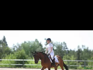 hästar Trevlig C-ponny säljes i Skärholmen - Annons 11