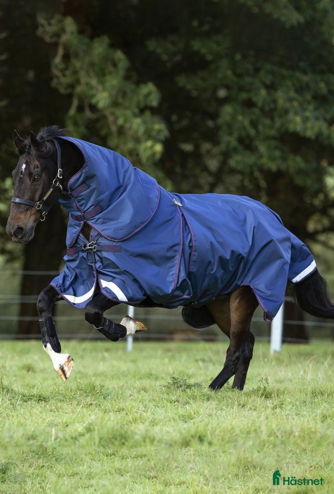 Täcken hästutrustning Horseware Rambo Optimo 145 - Annons 12