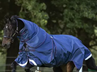 Täcken hästutrustning Horseware Rambo Optimo 145 - Annons 12