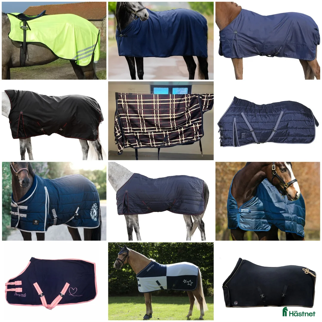 Täcken hästutrustning till salu: FYND 22st helt nya hästtäcken!!! Allt tsm - Annons 1