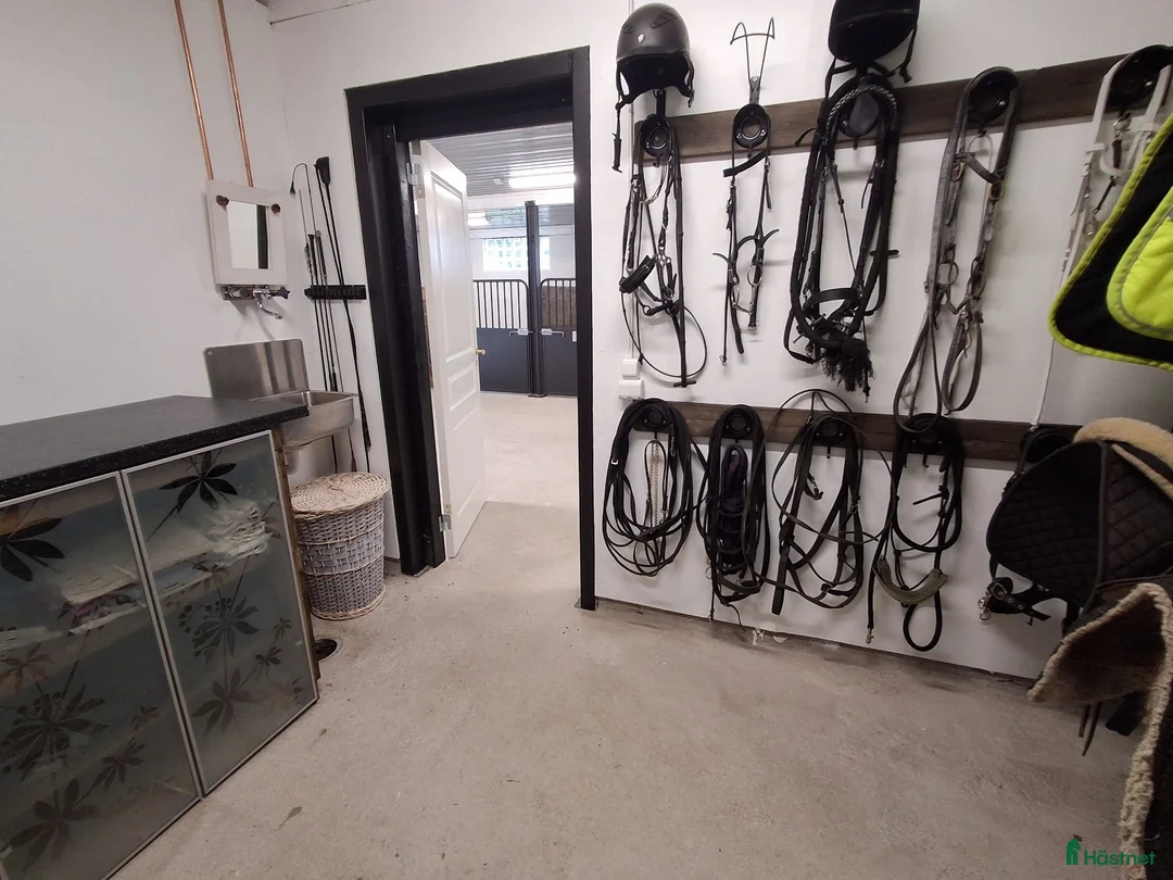  stallplats finnes: Stallplats i litet stall - Annons 10