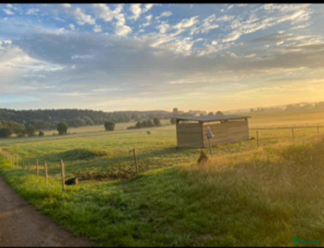  stallplats finnes: Stallplats  i Alingsås - Annons 1