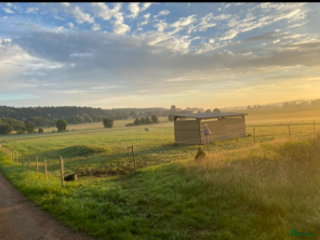 stallplats Stallplats i Alingsås - Annons 17